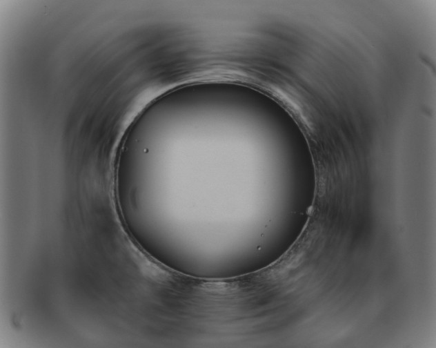 X0000091711478200708311104