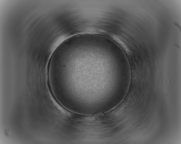 X0000091711479200708311104