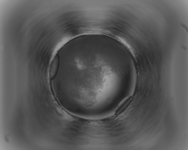 X0000091711480200708311104