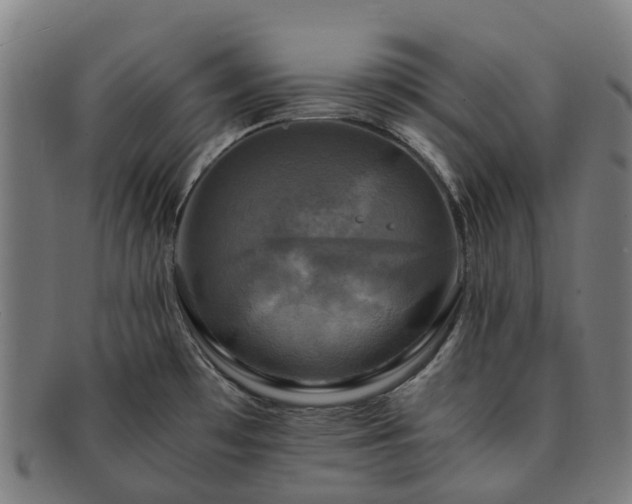 X0000091711481200708311104