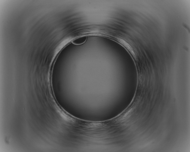 X0000091711482200708311104