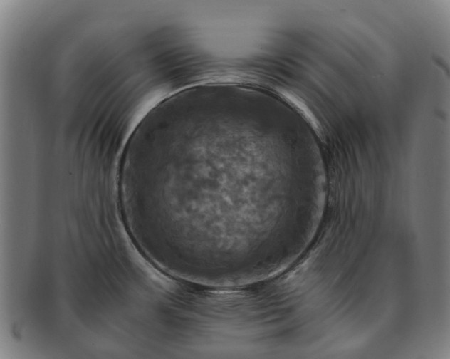 X0000091711483200708311104