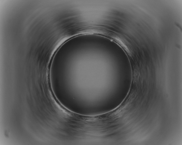 X0000091711484200708311104