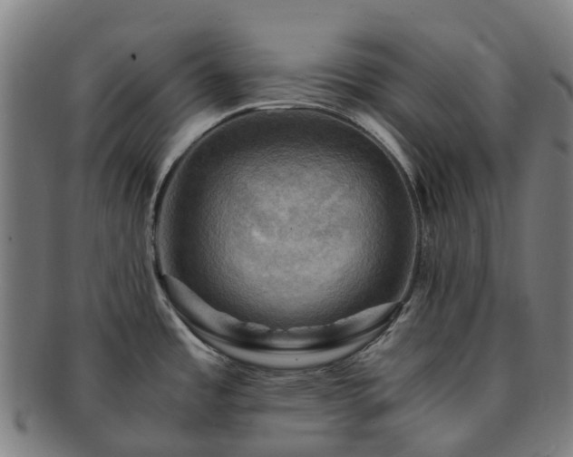 X0000091711485200708311104