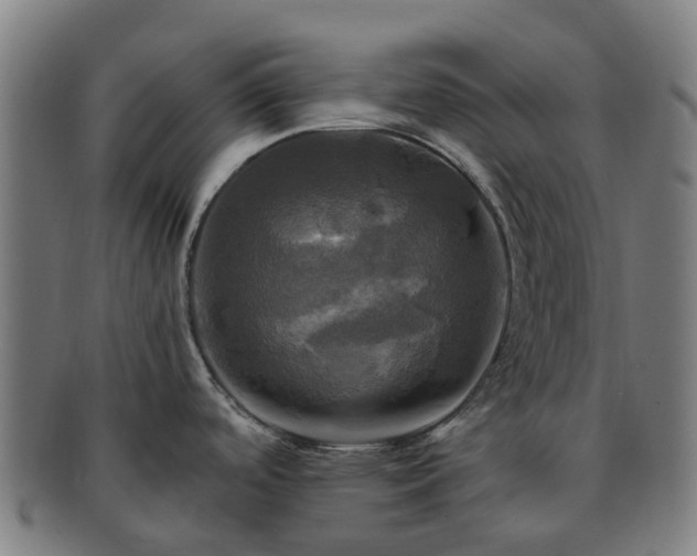 X0000091711488200708311104