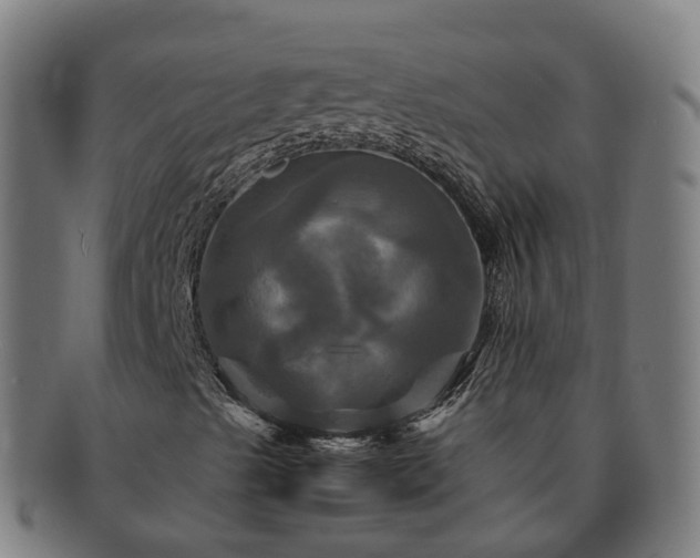 X0000091711489200708311103