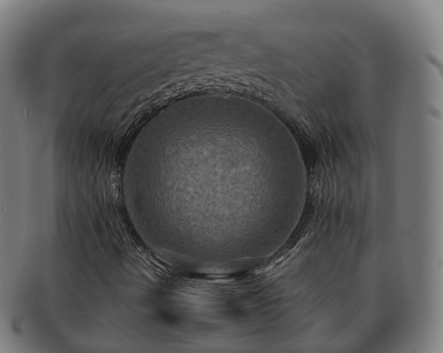 X0000091711490200708311103