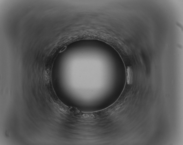 X0000091711491200708311103