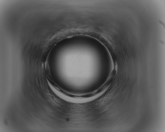 X0000091711492200708311103