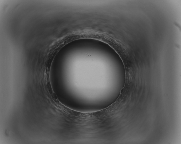 X0000091711493200708311103