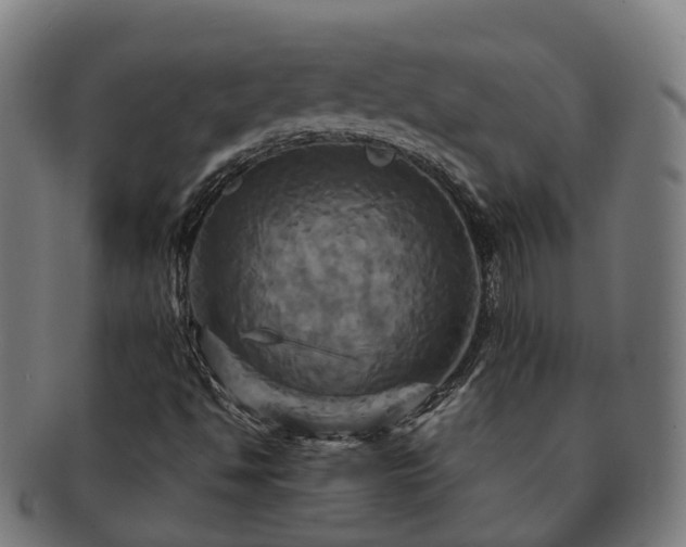 X0000091711494200708311104