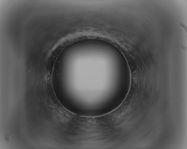 X0000091711495200708311104