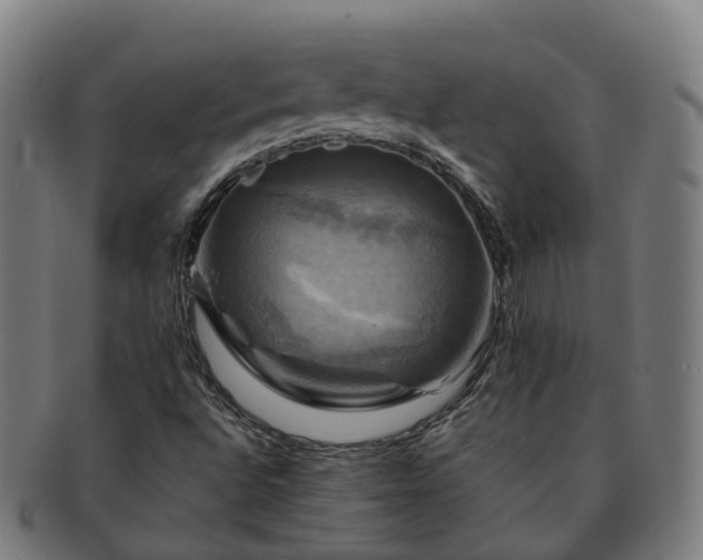 X0000091711496200708311104