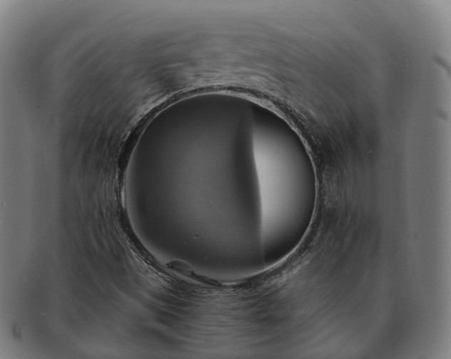 X0000091711497200708311104