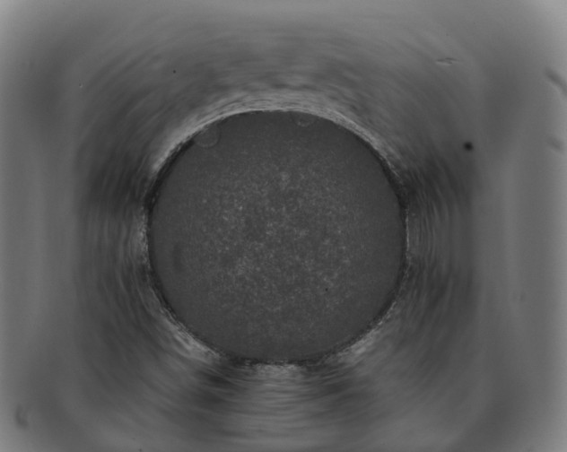 X0000091711498200708311104