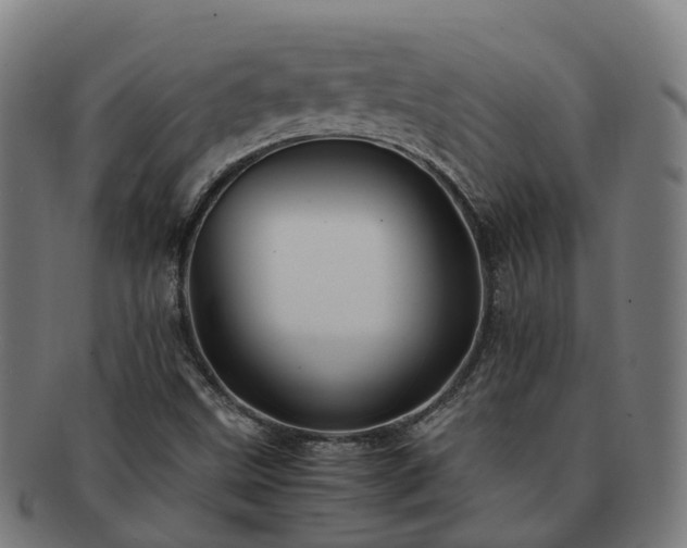 X0000091711499200708311104