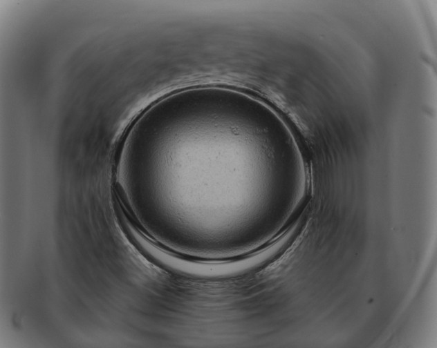 X0000091711500200708311104