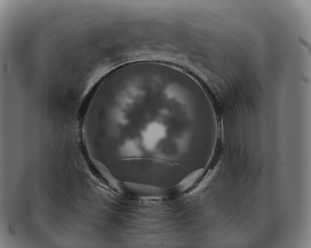 X0000091711501200708311104