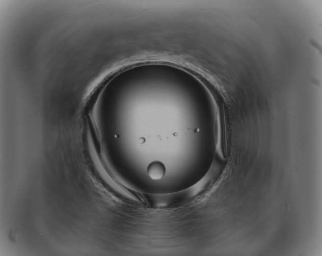 X0000091711502200708311104