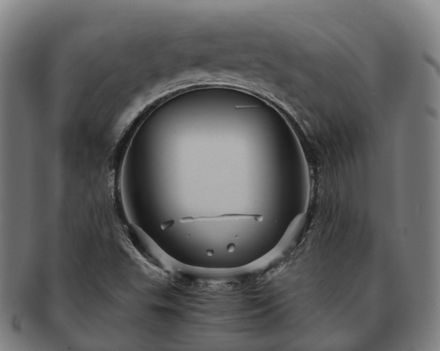 X0000091711503200708311104