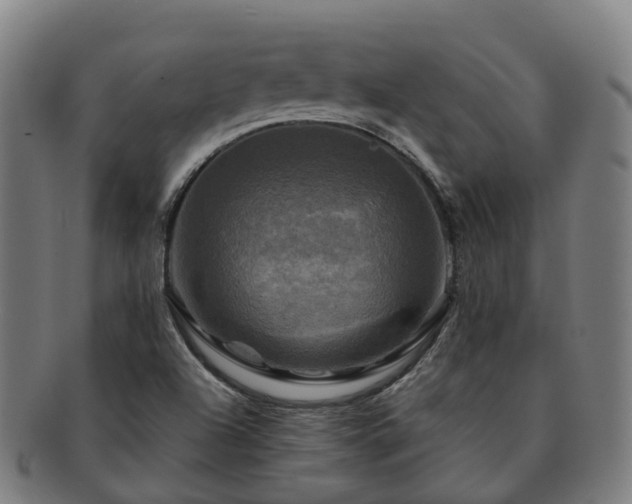 X0000091711504200708311104