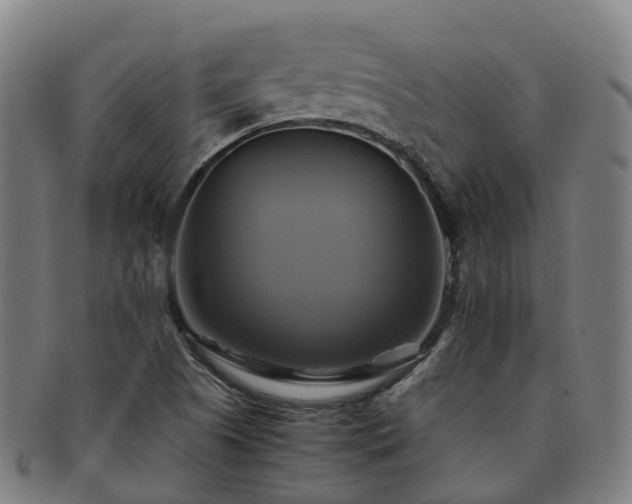 X0000091711505200708311104