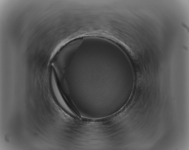 X0000091711506200708311104