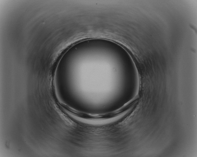 X0000091711507200708311104