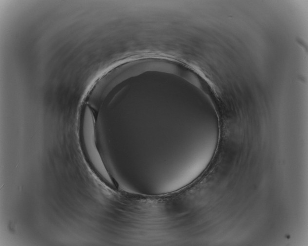 X0000091711508200708311104