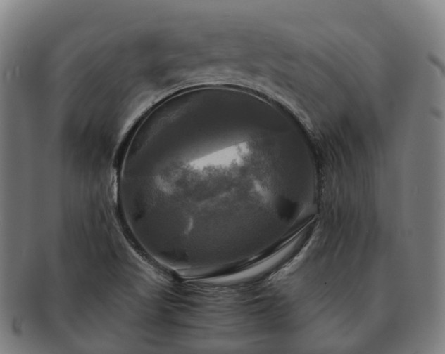 X0000091711509200708311104