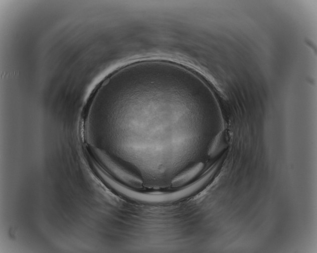 X0000091711510200708311104