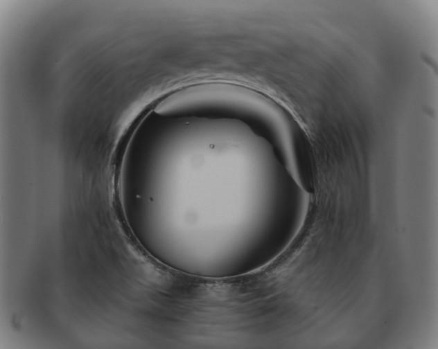 X0000091711511200708311104