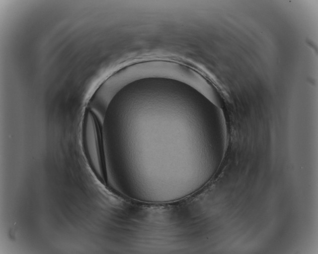 X0000091711512200708311104