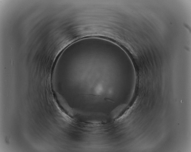 X0000091711513200708311104