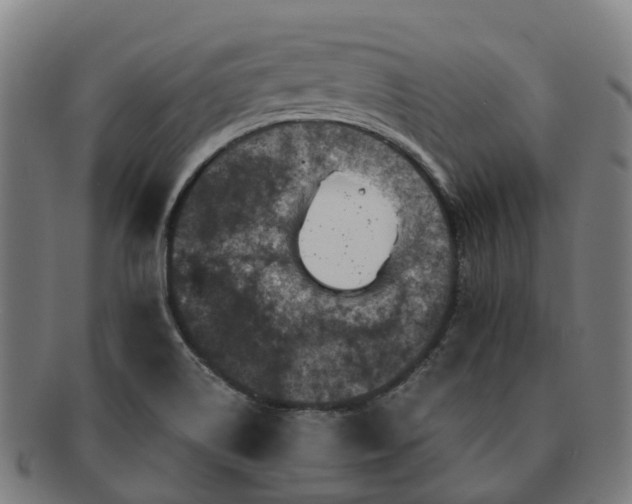 X0000091711514200708311104