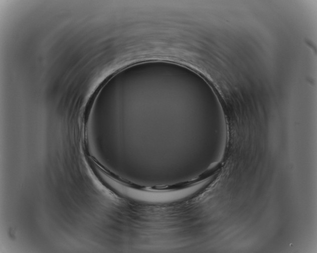 X0000091711515200708311104