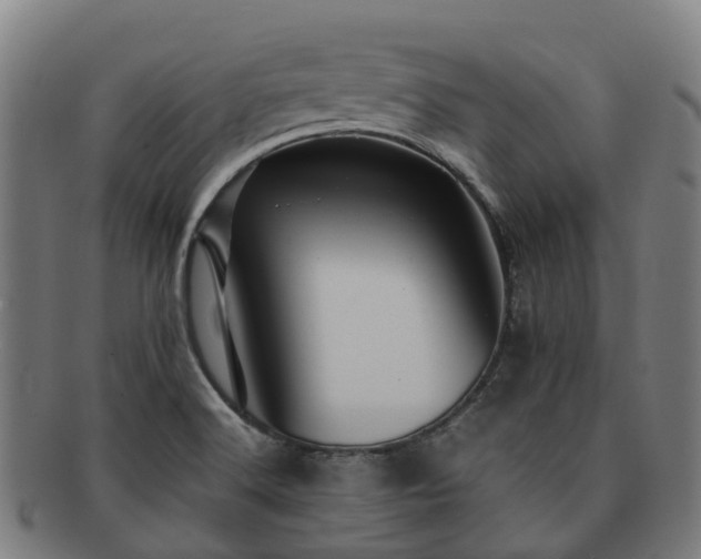 X0000091711516200708311104