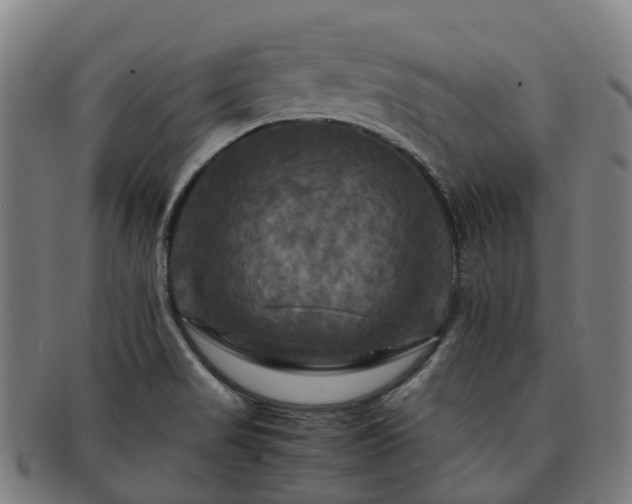 X0000091711517200708311104