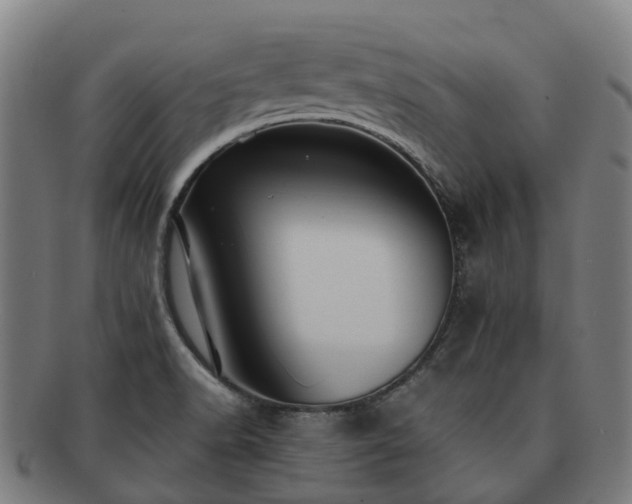 X0000091711518200708311104