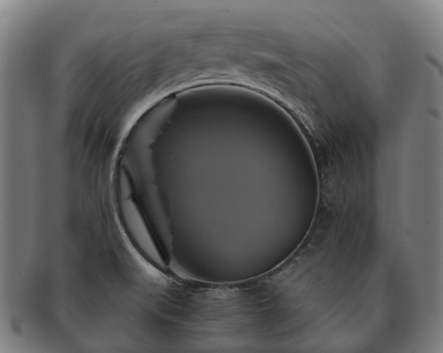 X0000091711519200708311104