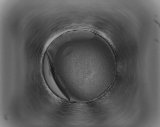 X0000091711520200708311104