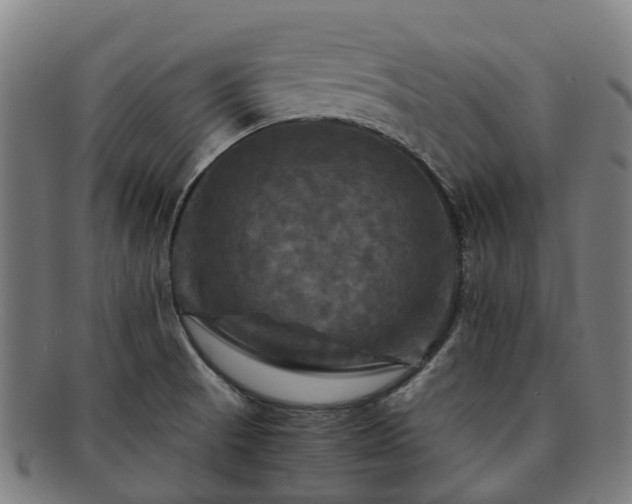 X0000091711521200708311104