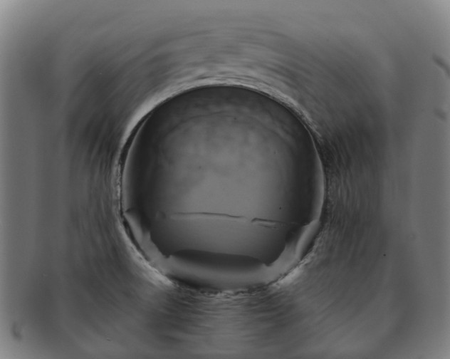 X0000091711522200708311104