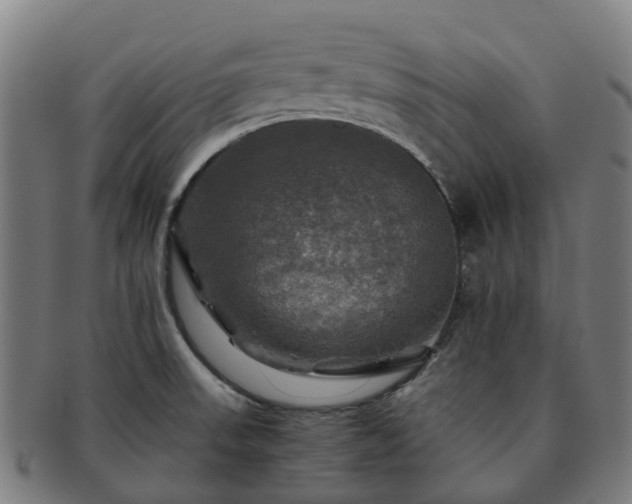 X0000091711523200708311104