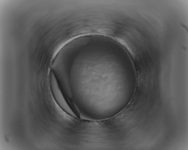 X0000091711524200708311104