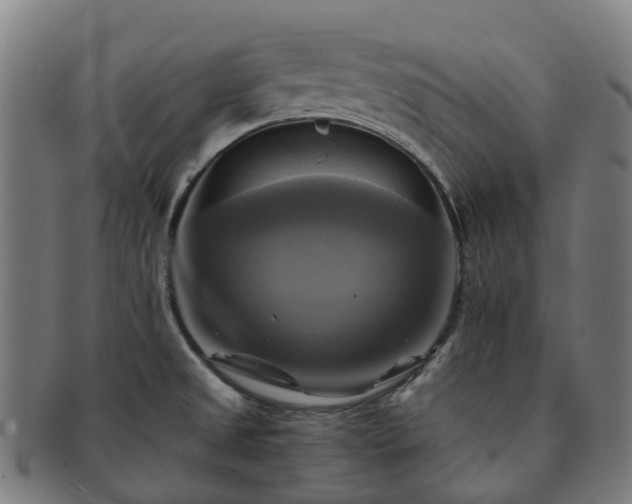 X0000091711525200708311104