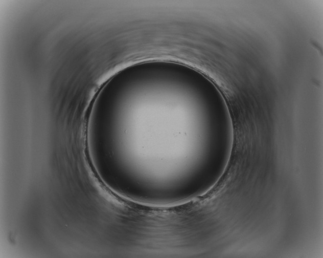 X0000091711526200708311104