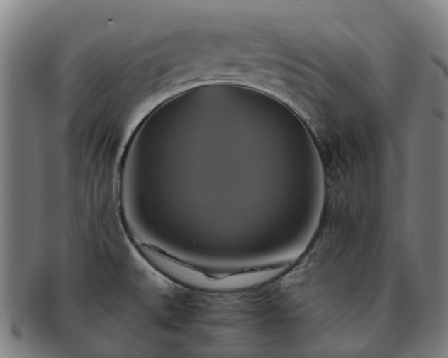 X0000091711527200708311104