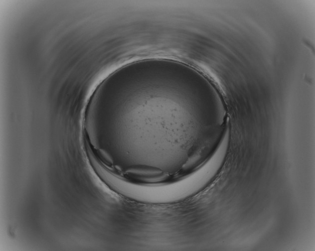 X0000091711528200708311104