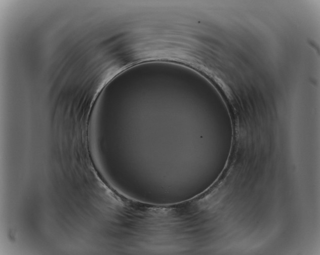 X0000091711529200708311104